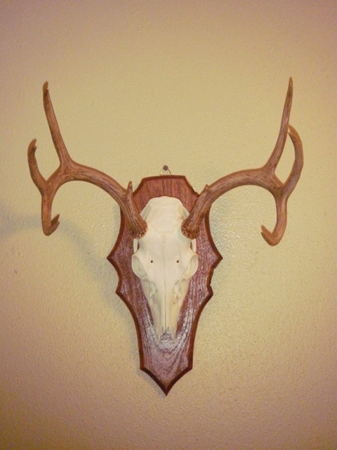 Mesquite flat panel euromount