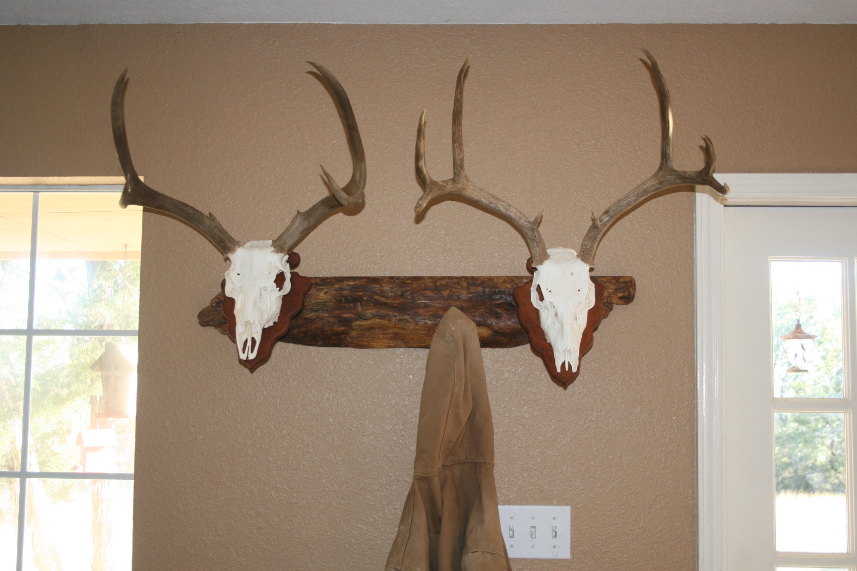 custom mesquite euromount  plaque