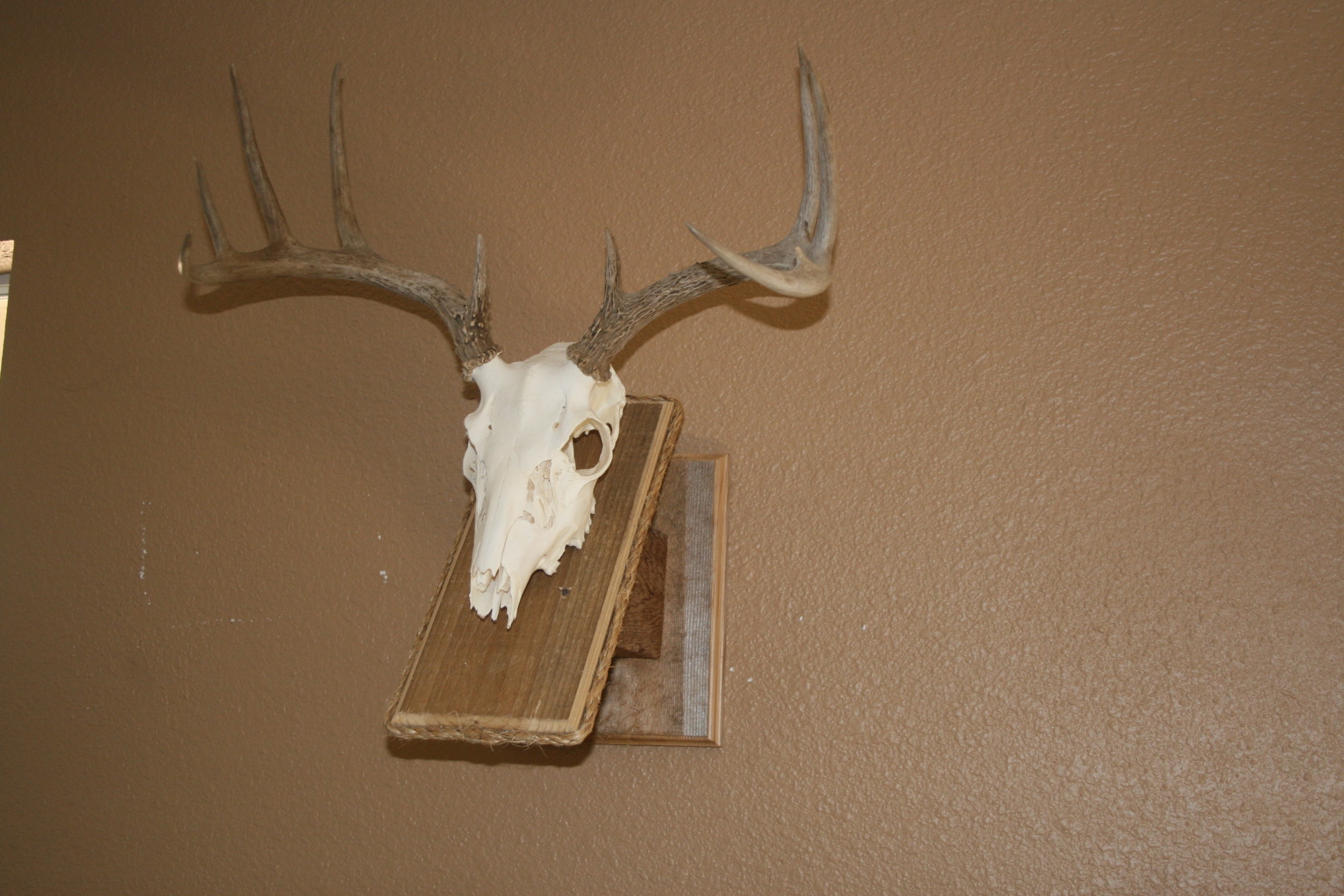 rustic Cedar Wall plaque