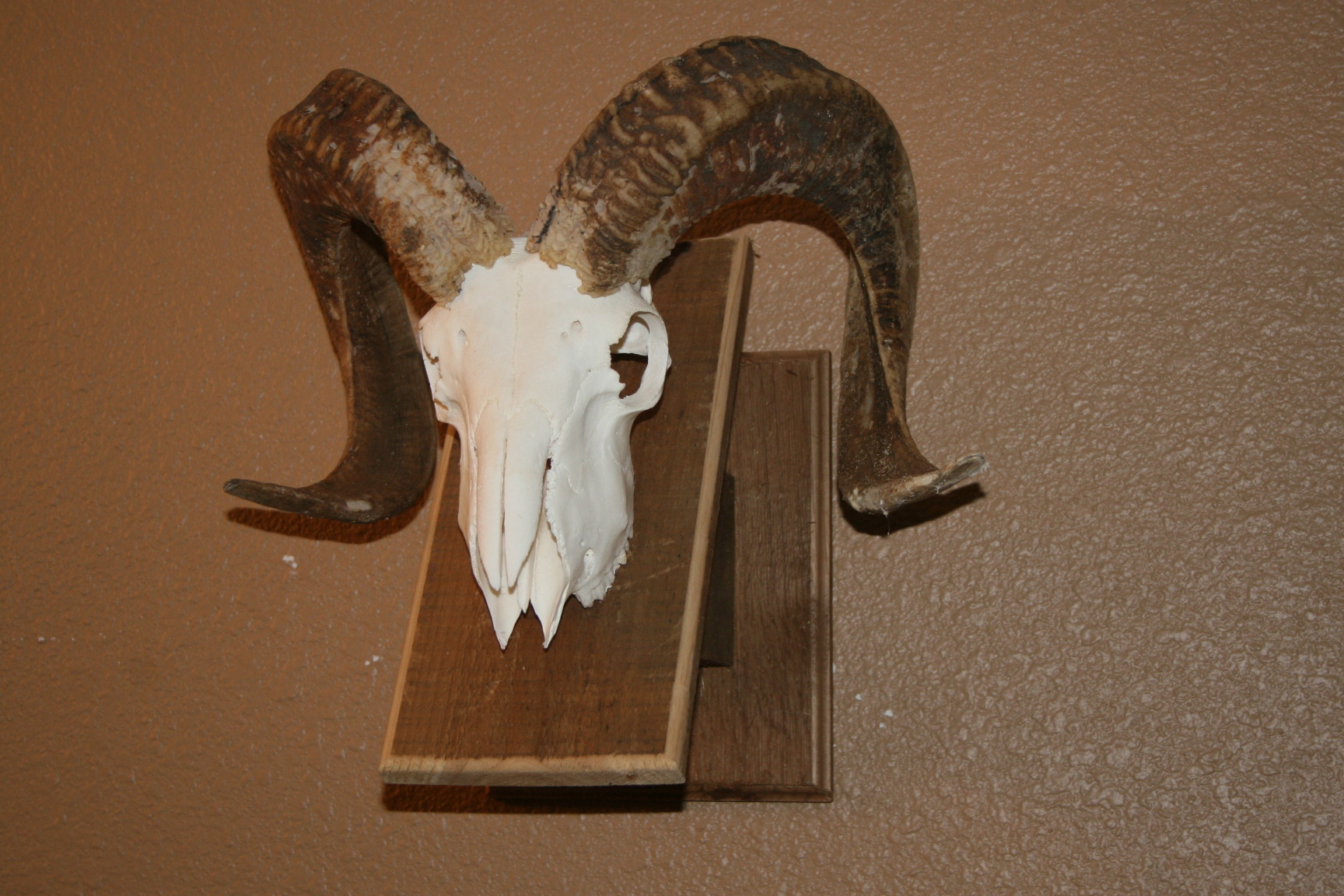 ram wall mount